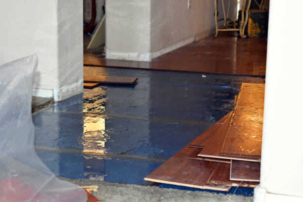 Professional Water Damage Restoration technician working in New Hill, NC